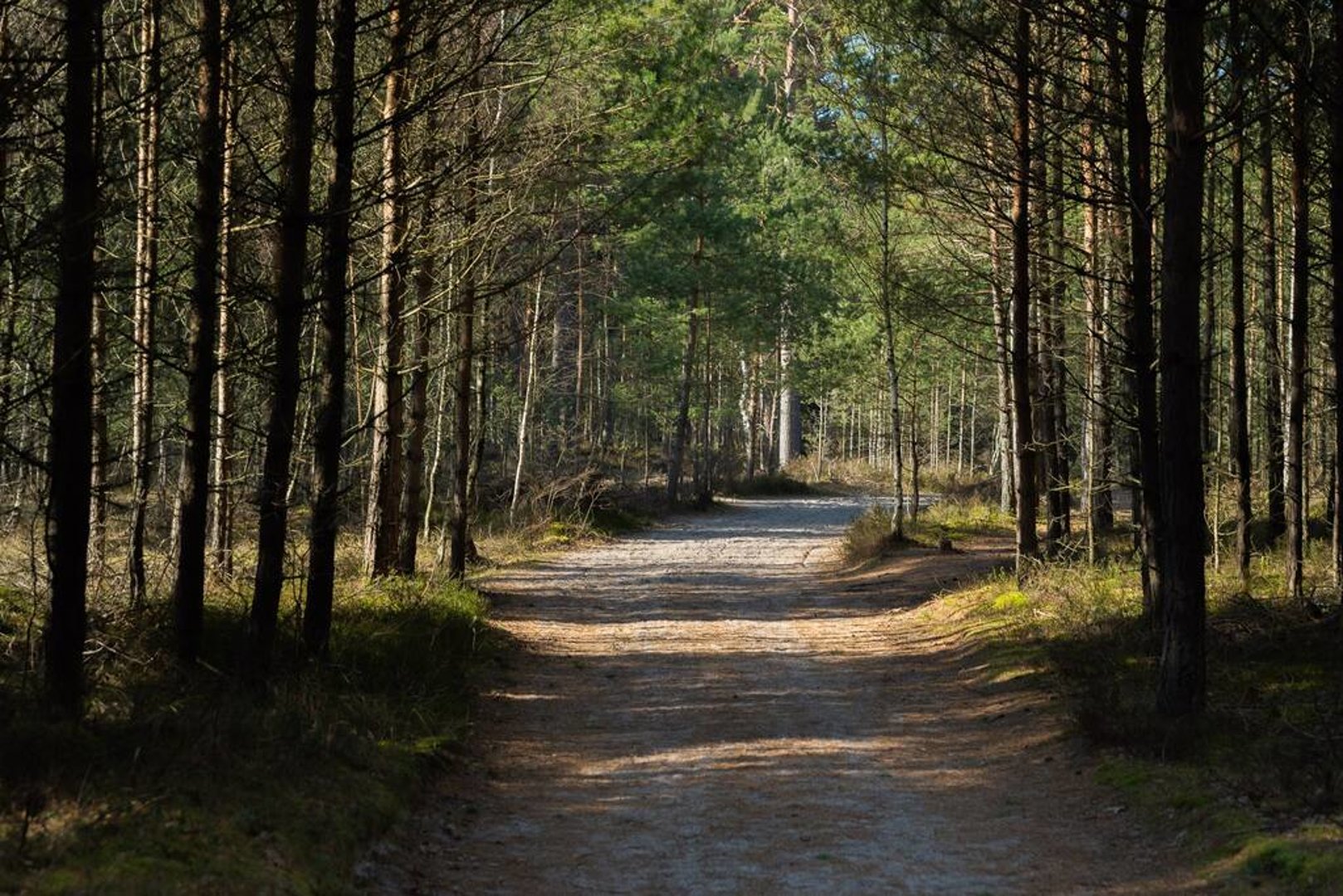 JOZEF BAAR Józef Baranowski - 17