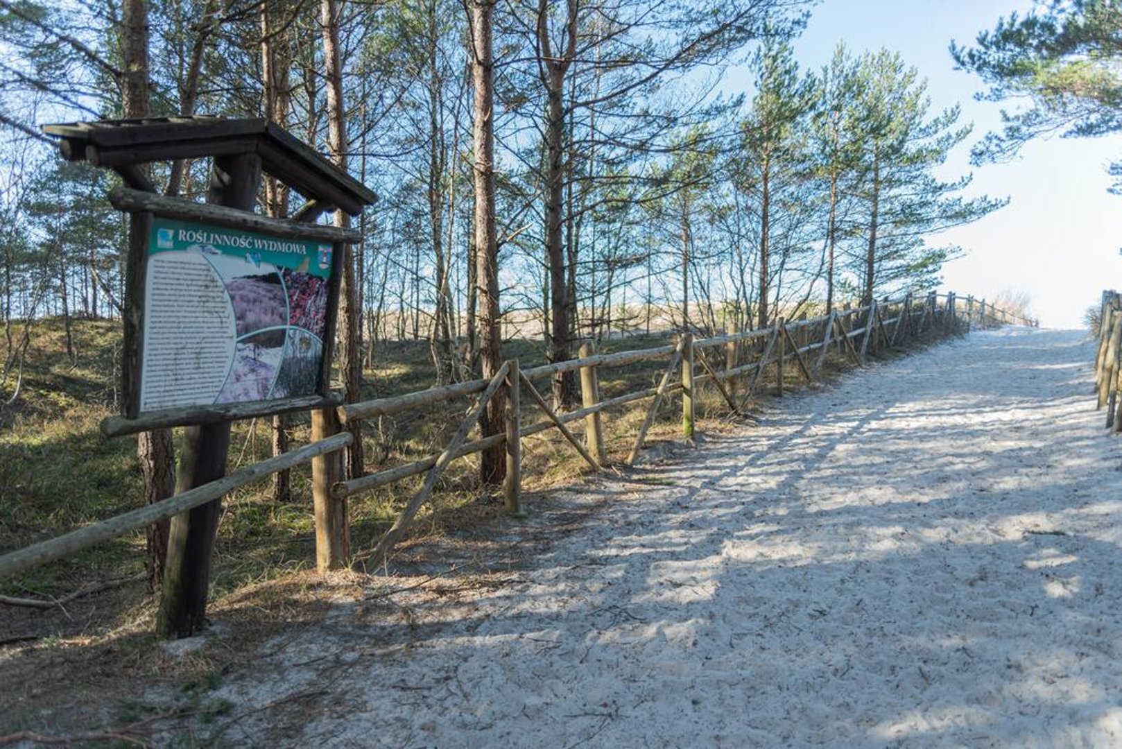 JOZEF BAAR Józef Baranowski - 19